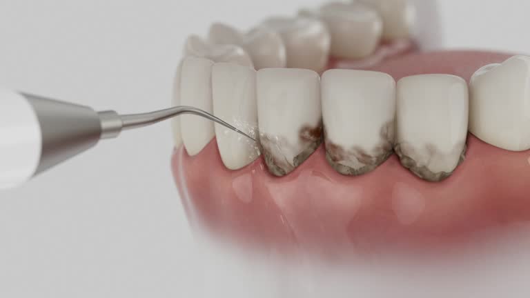 Reliable Dental contractor in Wimauma, FL by Dentist Open Now